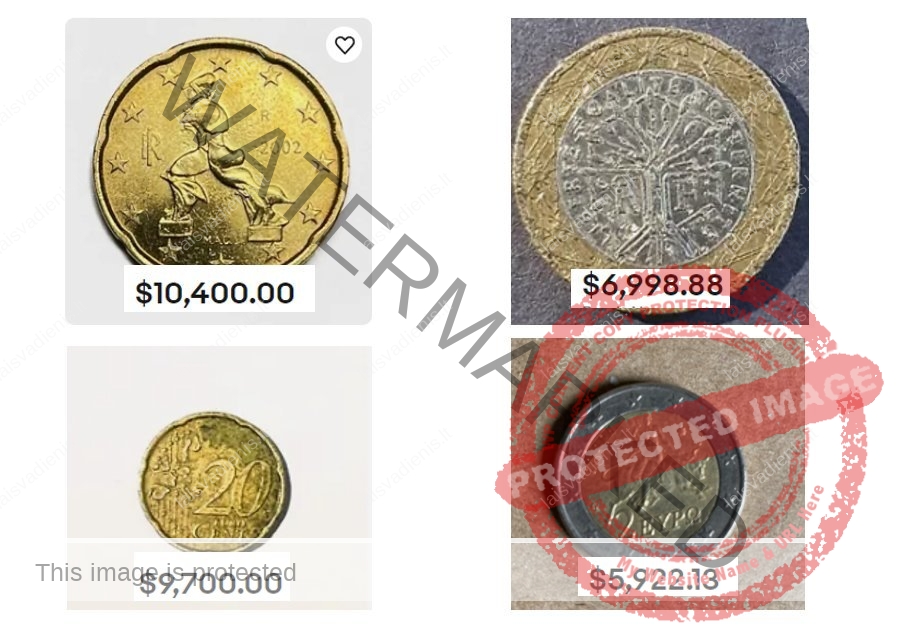 Vertingos monetos („eBay“ nuotr, koliažas) 
