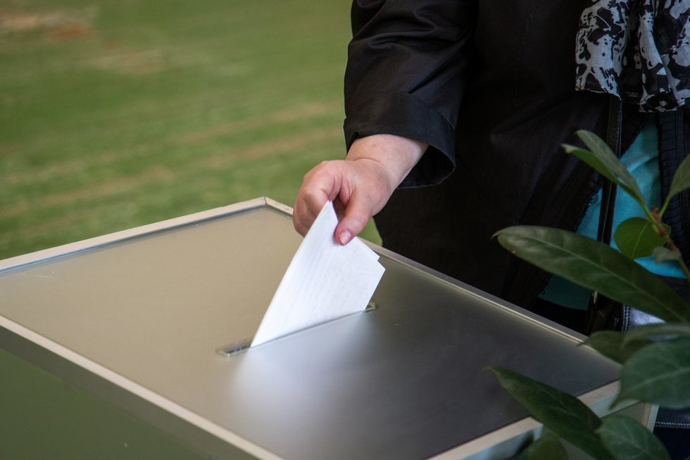 Rinkėjas balsuoja (Fotodiena/Justinas Auškelis)