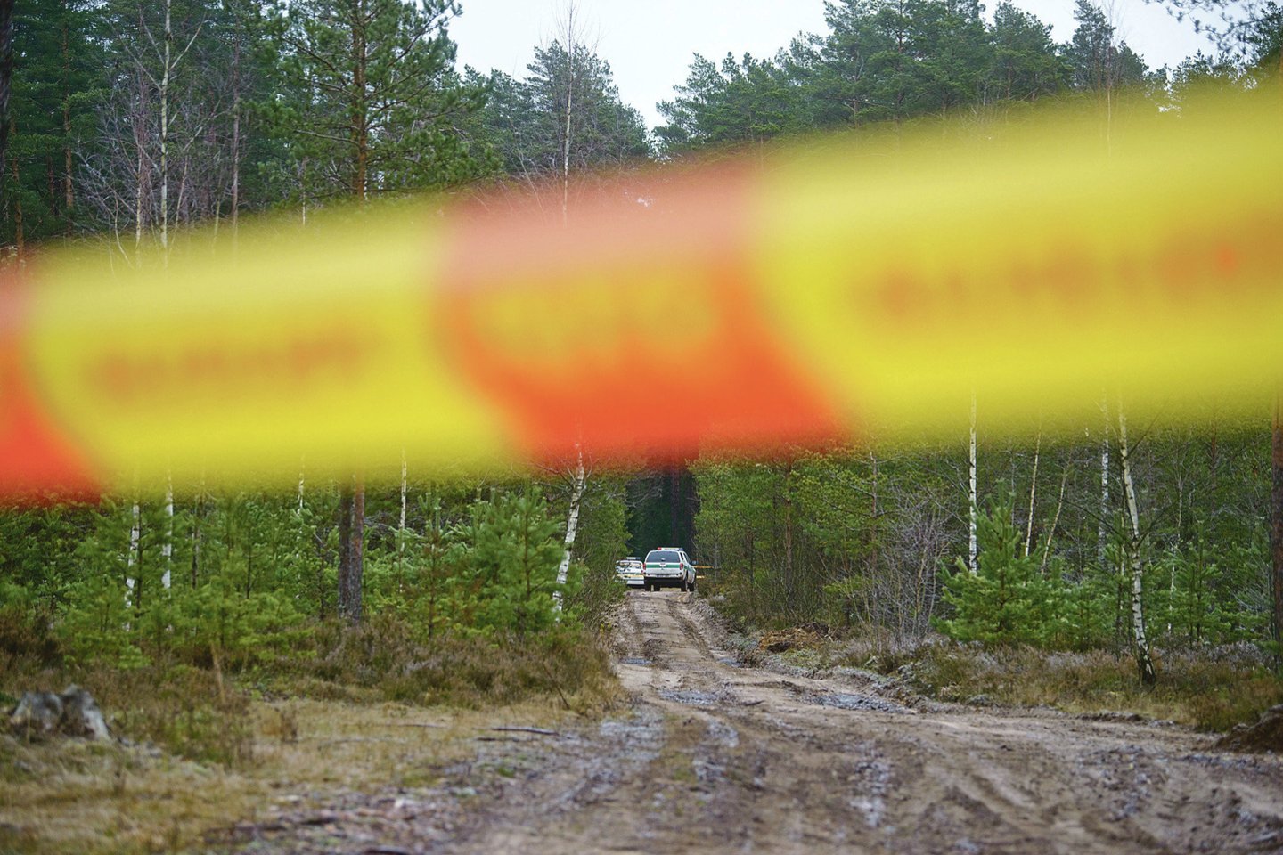 Prievartautojas naktį nuvežė merginą savo automobiliu į Kauno pakraštyje esančią Kleboniškio miško aikštelę.
