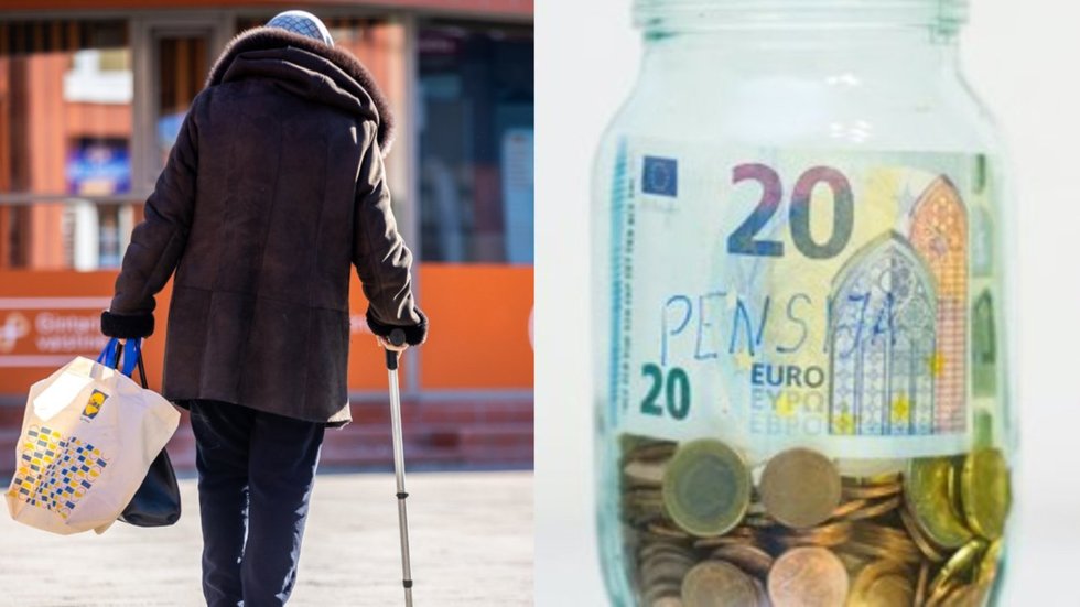 Pensija (tv3.lt koliažas)