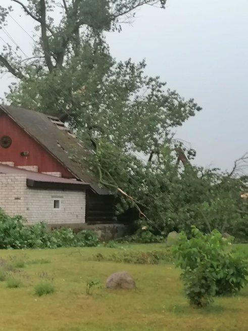 Siaubas Panevėžio rajone: dėl škvalo užvirtęs milžiniškas medis sutraiškė pastatą (nuotr. Orų entuziastai)