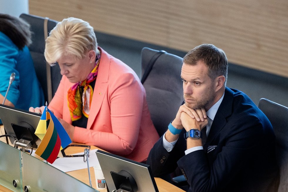 Ingrida Šimonytė, Gabrielius Landsbergis (Lukas Balandis/BNS)