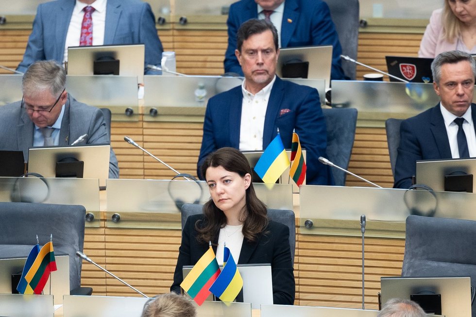 Monika Navickienė / BNS Foto