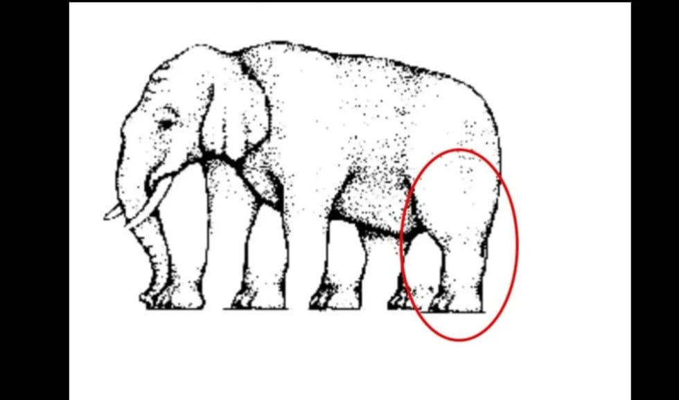 Paveikslėlis (Nuotr. facebook)