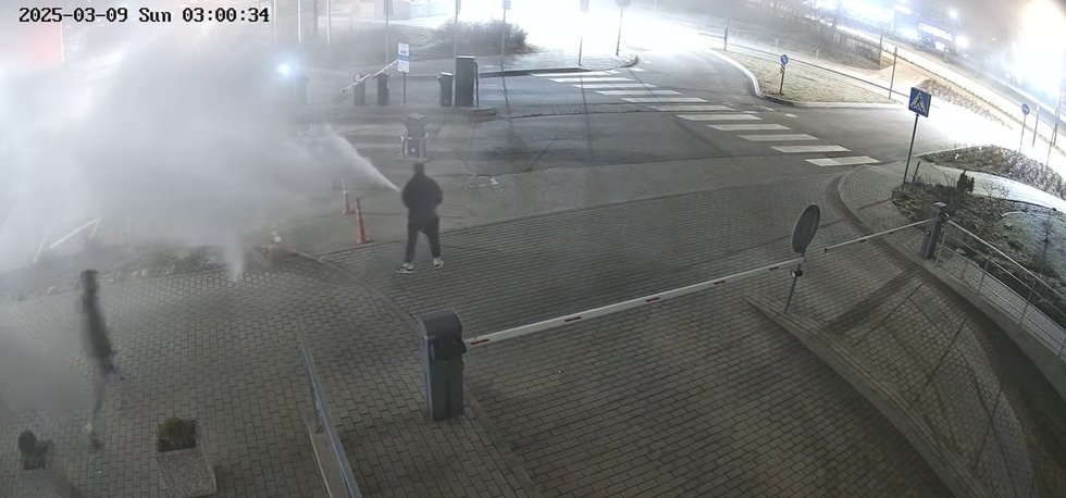 Vandalai Pilaitėje gesintuvais purškė automobilius (nuotr. facebook.com)