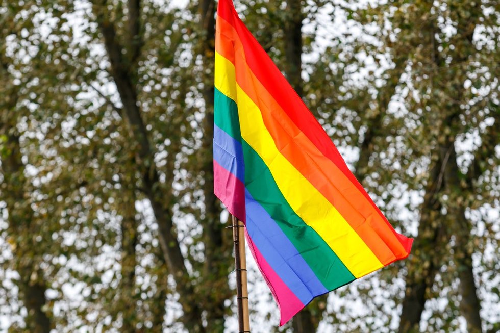 LGBT vėliava (nuotr. Tv3.lt/Ruslano Kondratjevo)