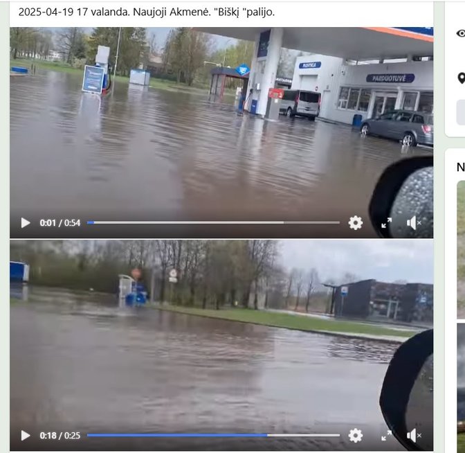 Liūtis (nuotr. facebook.com)