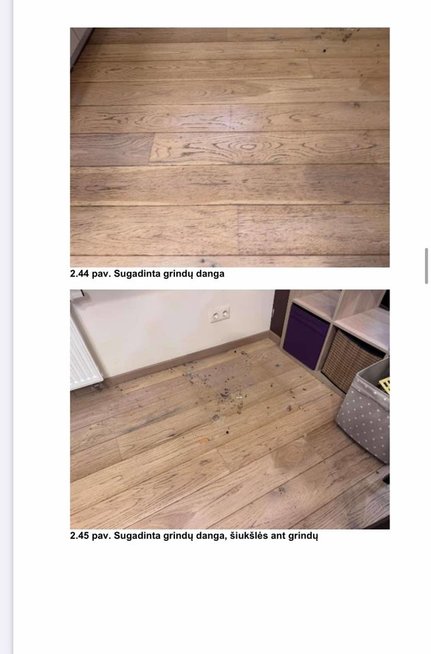 Nuniokotas Olgos nuomojamas butas (nuotr. asm. archyvo)