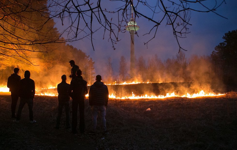 Žolės deginimas Andrius Ufartas/Fotobankas