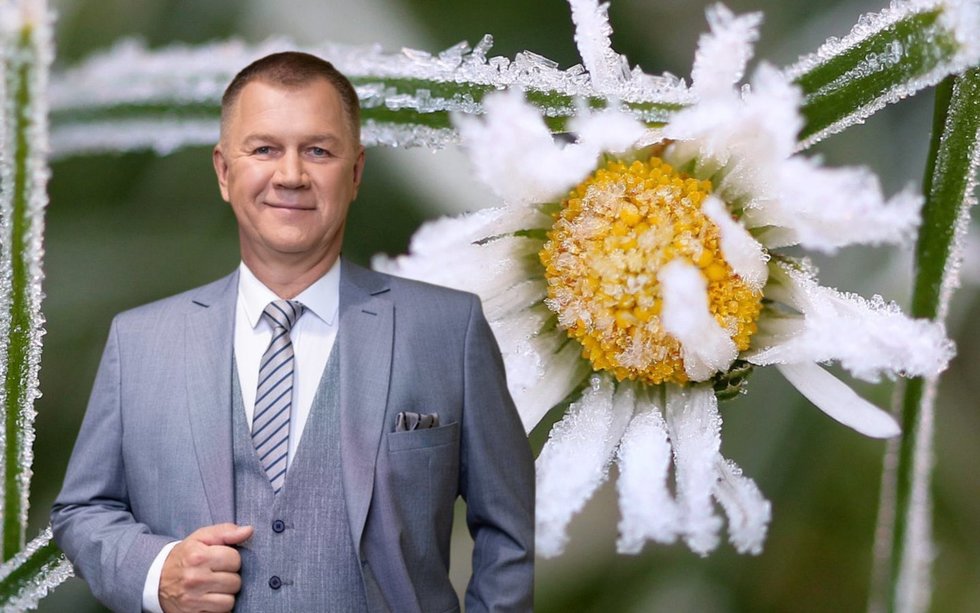Naglis Šulija (tv3.lt fotomontažas) Naglis Šulija (tv3.lt fotomontažas)