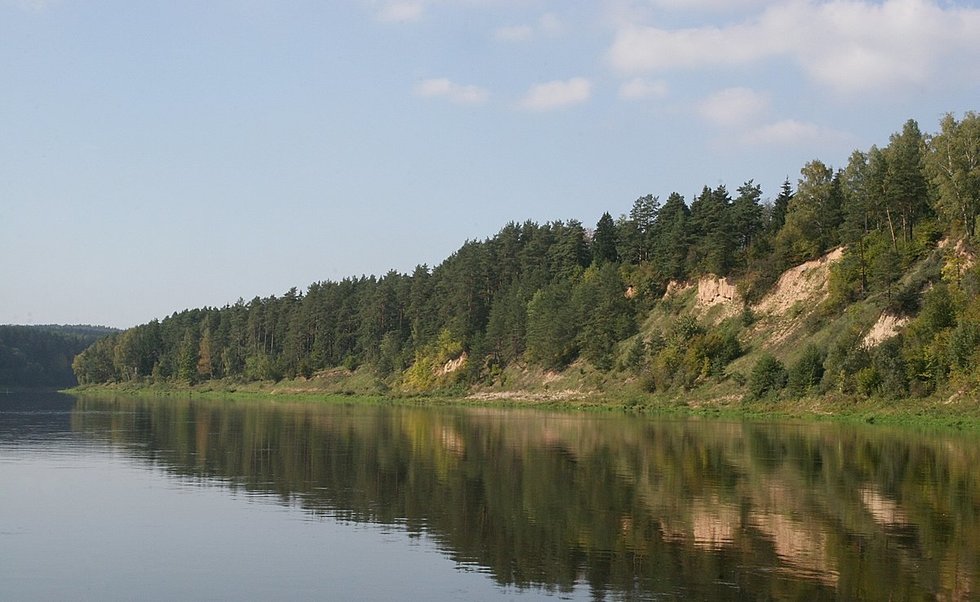 Nemuno upės vingis Birštone (nuotr. Fotodiena.lt)