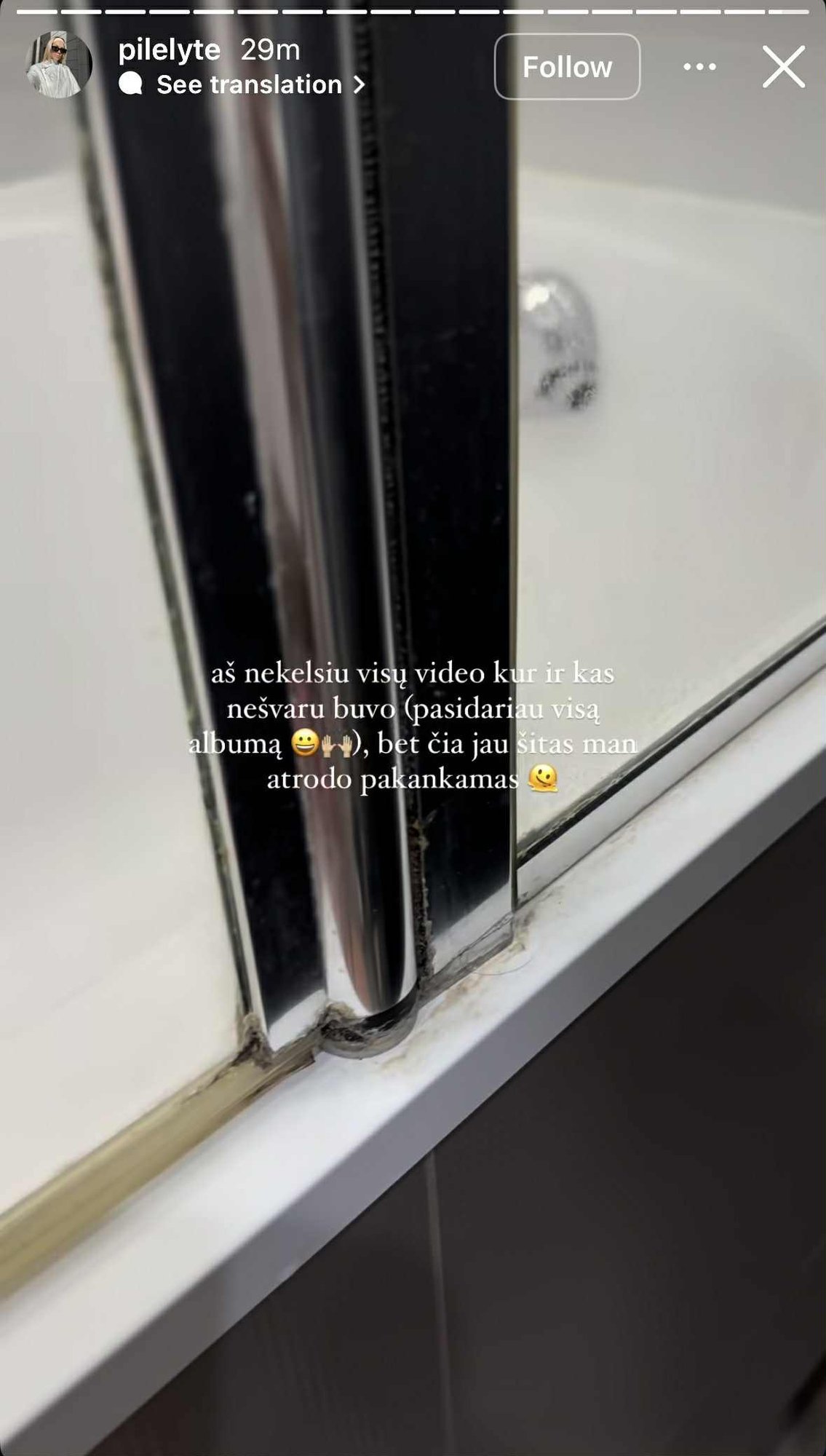 Nešvarumai išnuomotame bute