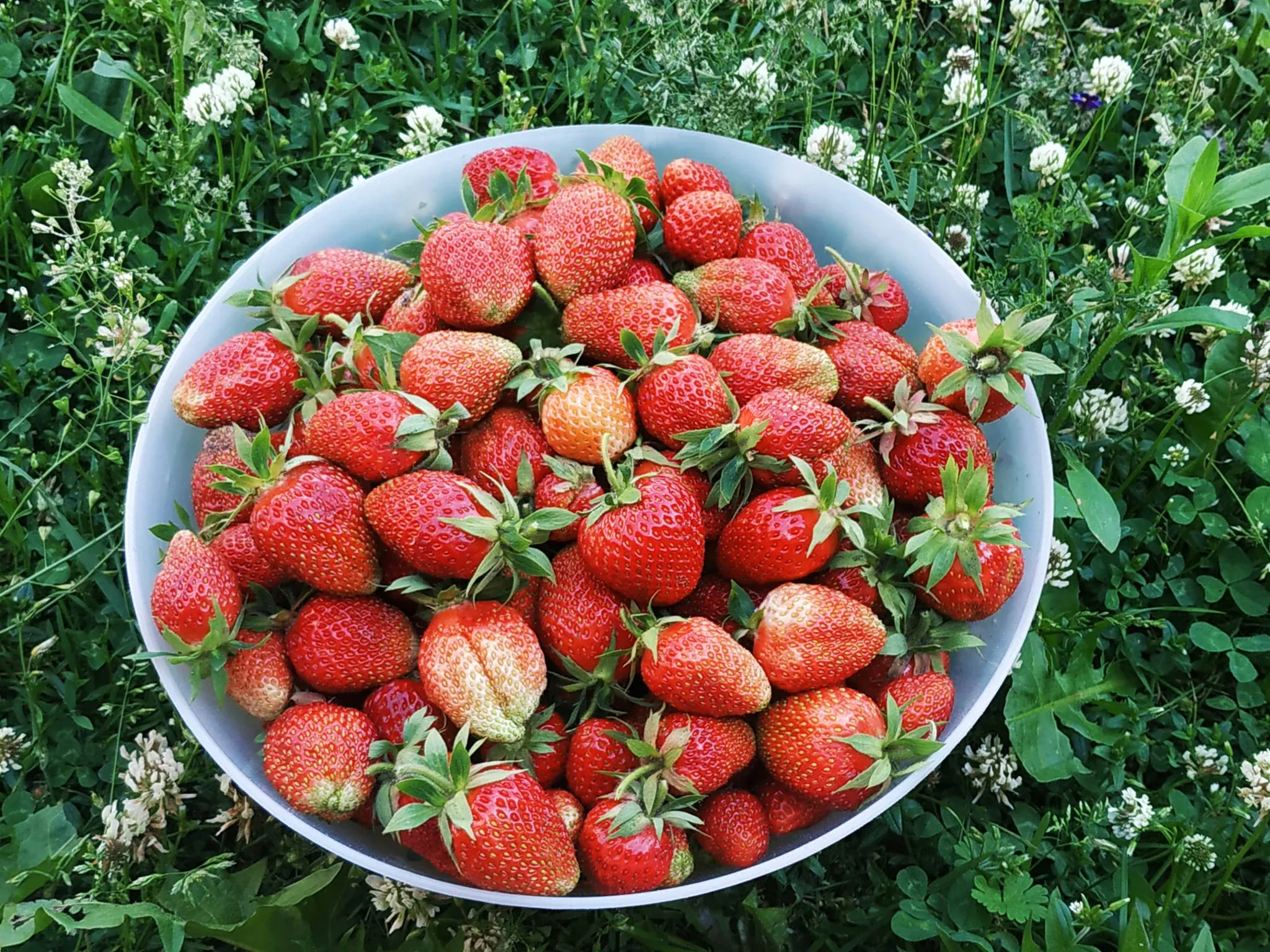 Braškių sirupas ir džemas žiemai – išsaugokite vasaros skonį