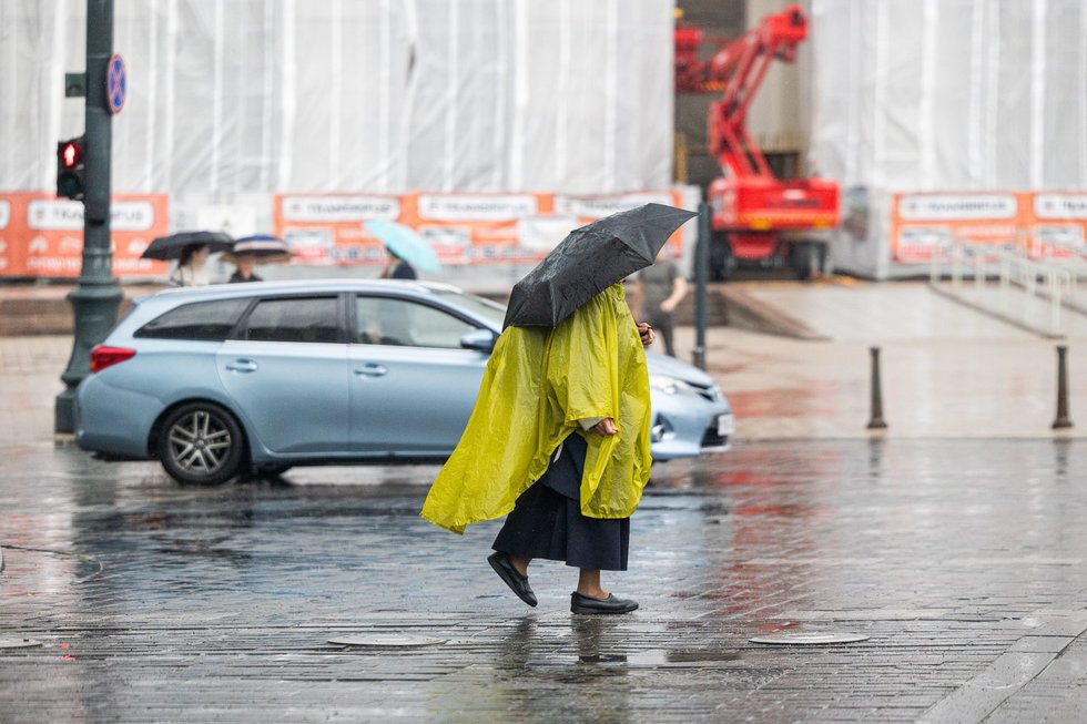 Liūtis sostinėje (Paulius Peleckis/ BNS nuotr.)