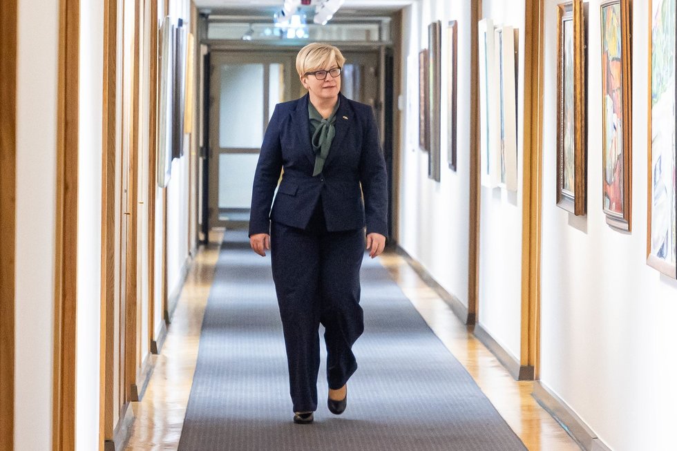 Ingrida Šimonytė (nuotr. Dainiaus Labučio)