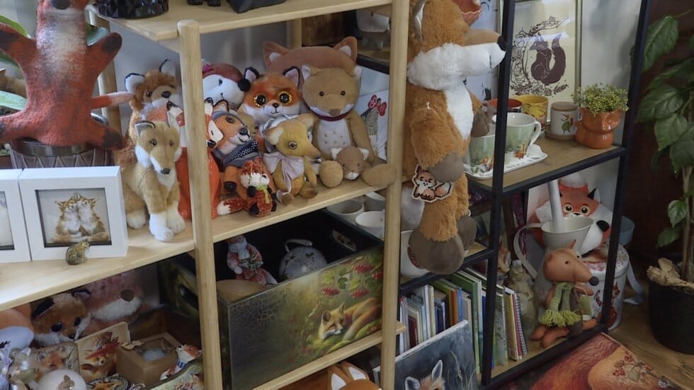 Editos lapių kolekcija (nuotr. stop kadras)