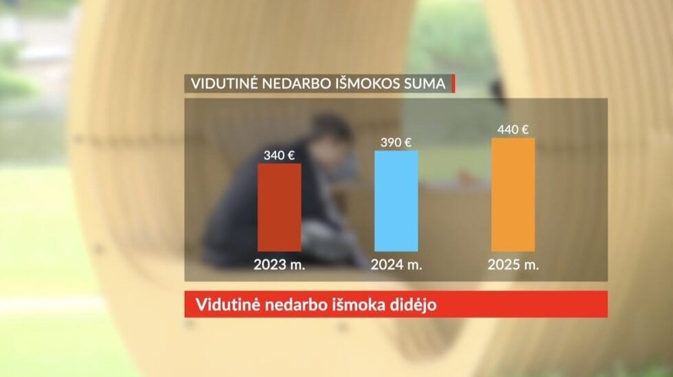 Vidutinė nedarbo išmokos suma (tv3.lt koliažas)