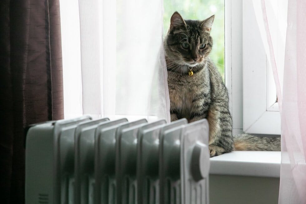 Šildymo sezonas (nuotr. Elta)