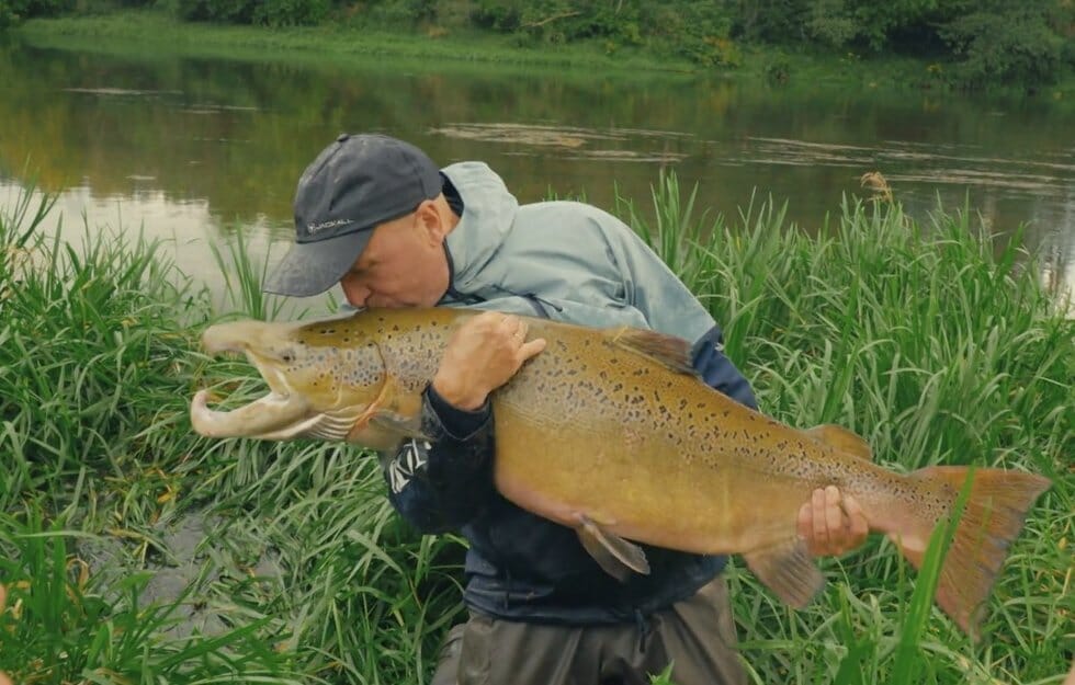 Sauliaus pagauta lašiša (nuotr. stop kadras)
