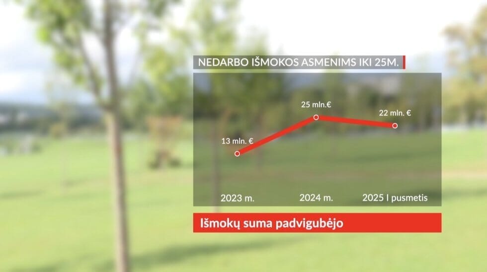 Nedarbo išmokos asmenims iki 25 m. (tv3.lt koliažas)