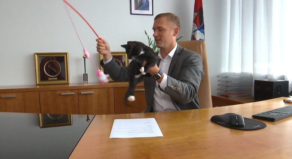 Vilniaus savivaldybėje – pūkuotas šeimininkas: juodą katinėlį galima sutikti net mero kabinete (nuotr. stop kadras)