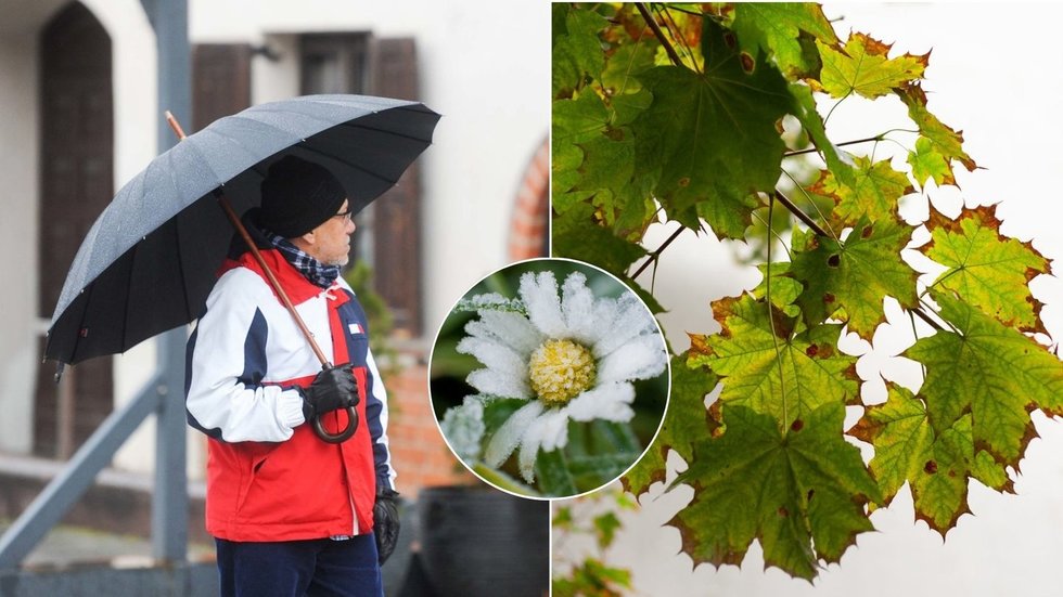 Ramybė prieš audrą: sinoptikė pranešė, kada į Lietuvą ateis dar didesni šalčiai (tv3.lt koliažas)