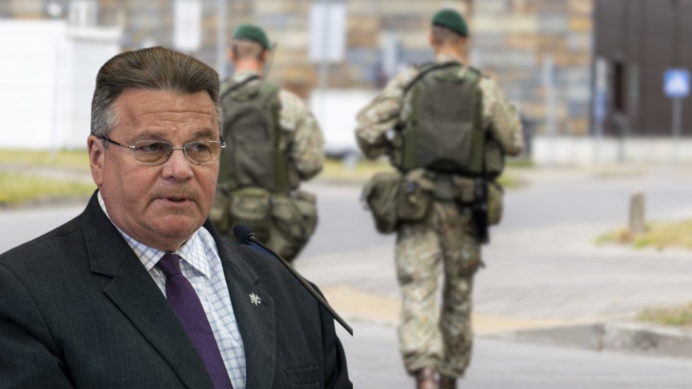 Linkevičius sukritikavo viešai aptariamą gynybos klausimą: „Man nepatinka tokios diskusijos“ (tv3.lt koliažas)