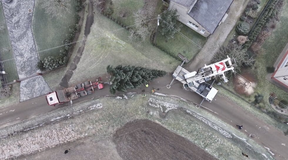 Klaipėdos Kalėdų eglė (nuotr. stop kadras)