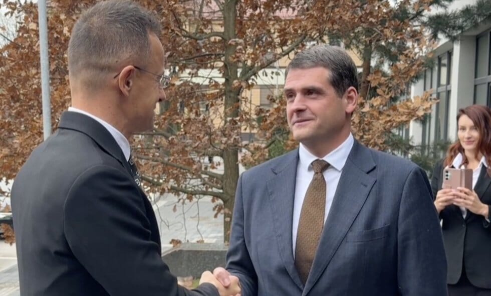 Remigijus Žemaitaitis (nuotr. stop kadras)