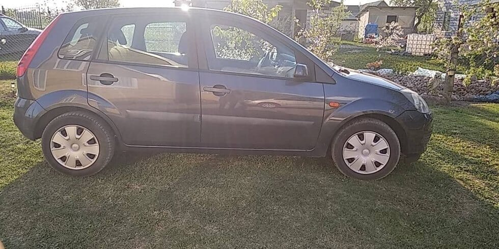 Dingo jauna moteris (nuotr. facebook.com)