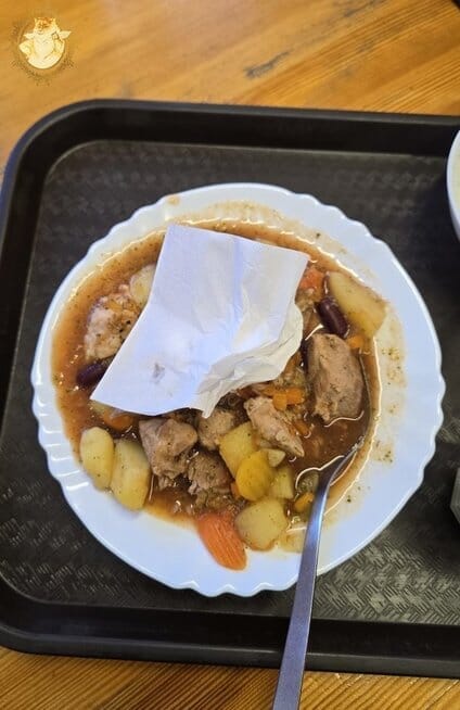 Nesuvalgytas maistas (nuotr. Riebus Katinas)