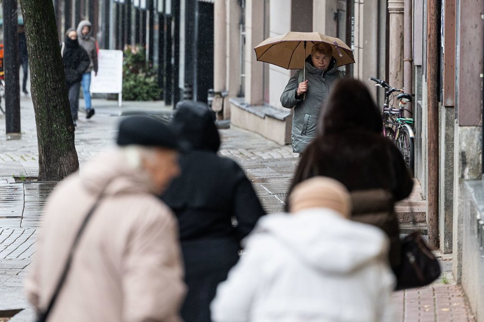 Gyventojai (Paulius Peleckis/ BNS nuotr.) Gyventojai (Paulius Peleckis/ BNS nuotr.)