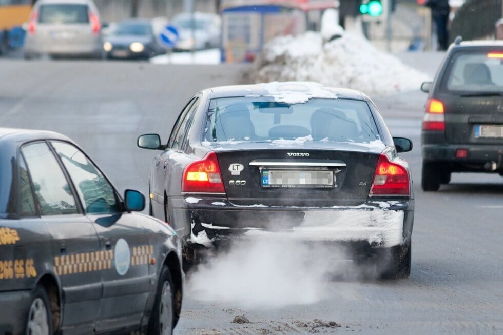 Tarša (T. Urbelionis, BNS)