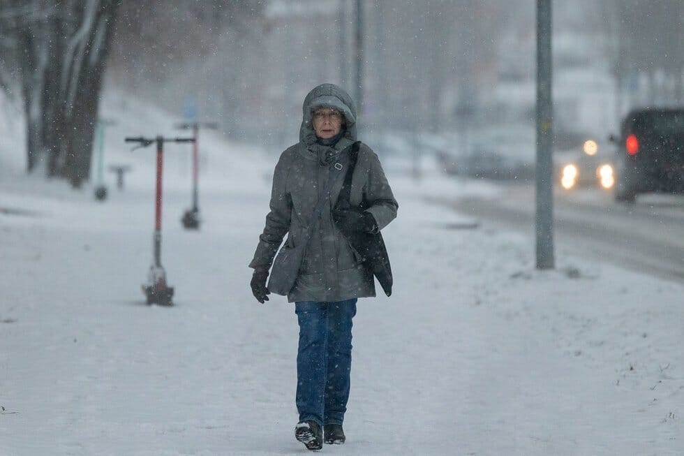 Žiemiški orai Lietuvoje (nuotr. BNS) (nuotr. Roberto Riabovo)