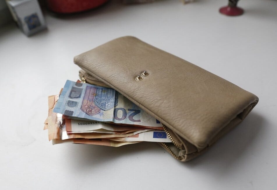 Piniginė (nuotr. Elta)