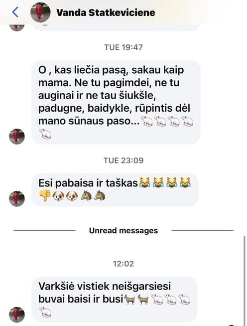 Vados Statkevičienės žinutės (nuotr. facebook.com)