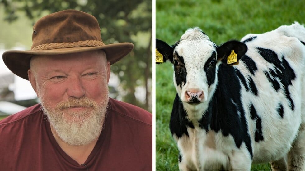 Vytaras Radzevičius (tv3.lt koliažas)