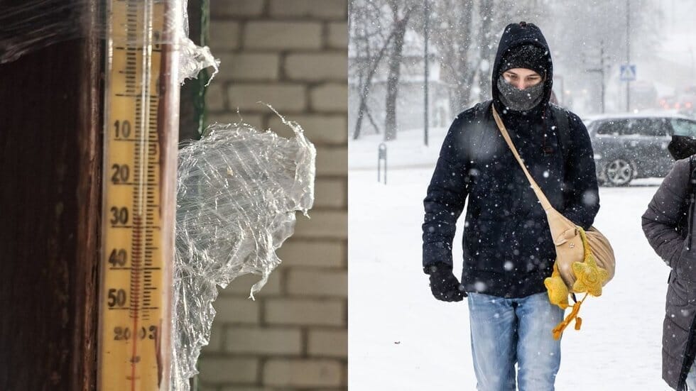 Orai (tv3.lt koliažas)