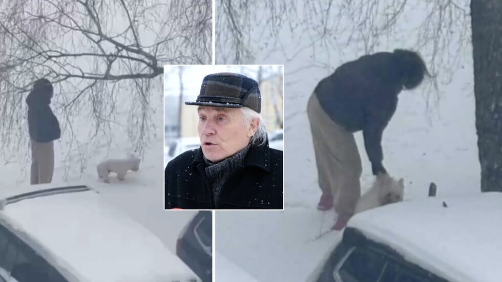 Veterinaras – apie internautus įsiutinusį žiauraus elgesio su šuniu įrašą: „Nu, nematau, kad ten būtų spyrę“ (nuotr. stop kadras)