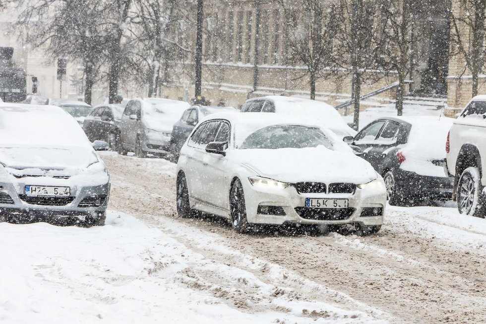 Žiema Lietuvoje 2026 m. (nuotr. Elta)