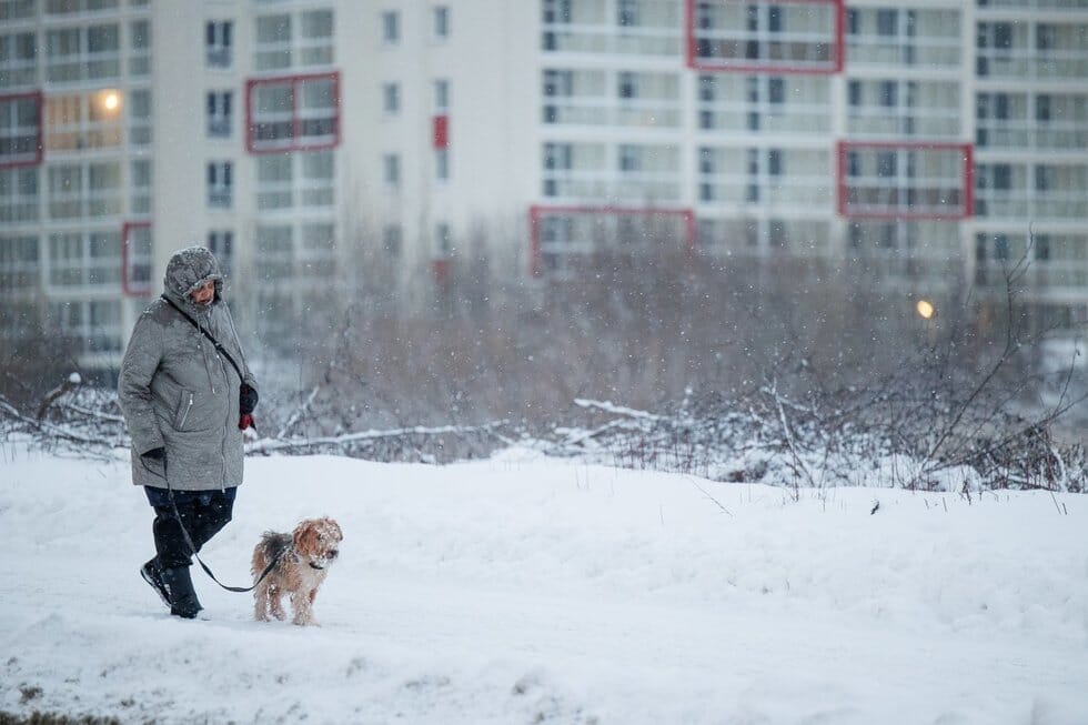 Sniegas Vilniuje. ELTA / Josvydas Elinskas