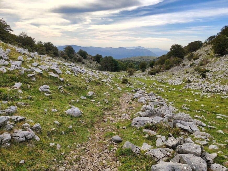 Julijos piligriminiai žygiai (nuotr. asm. archyvo)