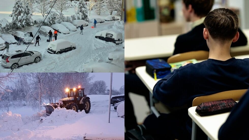 Dėl gausaus snygio stabdomas ugdymo procesas (tv3.lt koliažas)