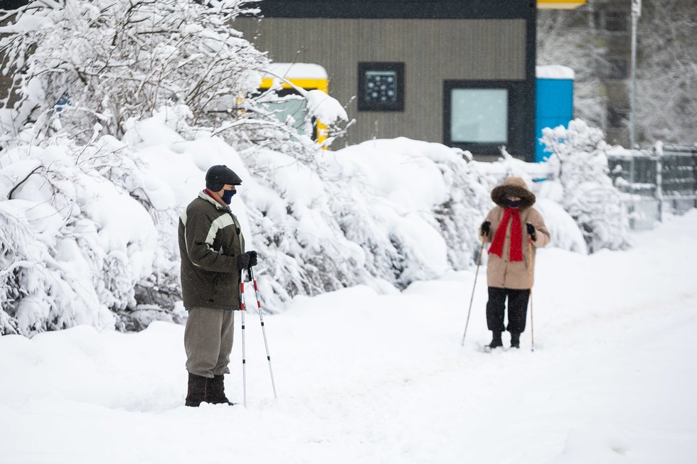 Pensininkai (Žygimantas Gedvila/ BNS nuotr.) Pensininkai (Žygimantas Gedvila/ BNS nuotr.)