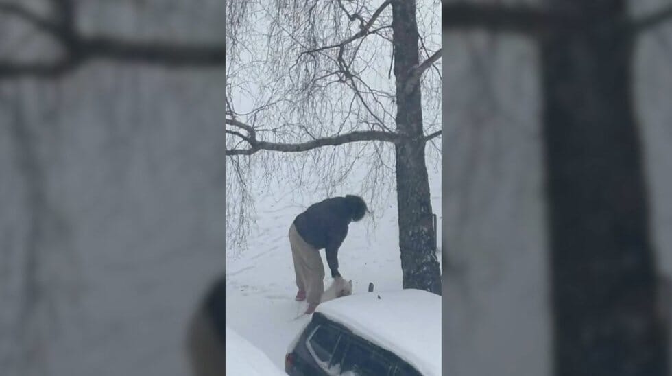 Vaizdo įrašo stopkadras (nuotr. stop kadras)