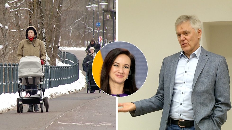 Ruginienė užsimojo keisti „vaiko priežiūros atostogas“: ekspertai nesutaria, ar to išvis reikia (tv3.lt koliažas)