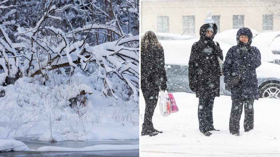 Žiema, žmonės (tv3.lt koliažas)