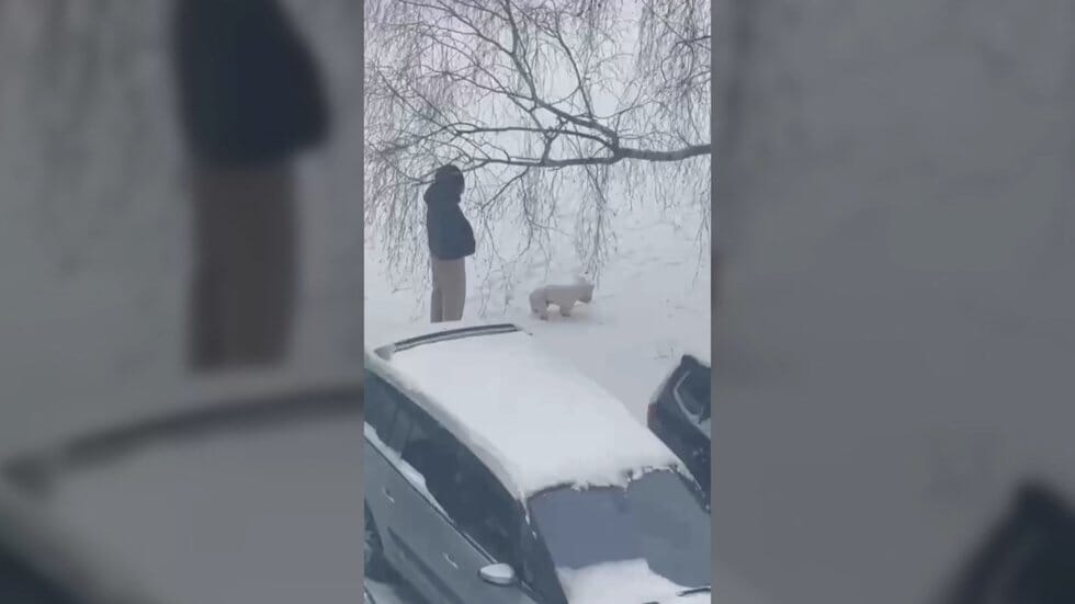 Vaizdo įrašo stopkadras (nuotr. stop kadras)