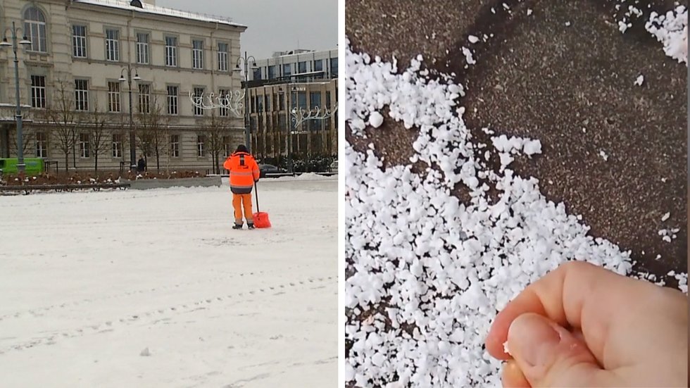 Netikras sniegas, TV3 Žinios (tv3.lt koliažas)