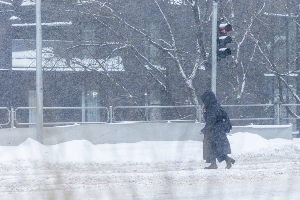 Žiema Lietuvoje (Paulius Peleckis/ BNS nuotr.) Žiema Lietuvoje (Paulius Peleckis/ BNS nuotr.)